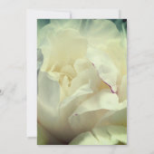 Einladung von Petals aus weißem Blume (Rückseite)