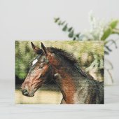 Einladung von Pferdemosaiken (Stehend Vorderseite)