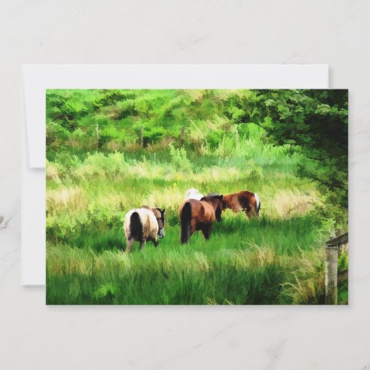 EINLADUNG VON PFERDEN (Vorderseite)