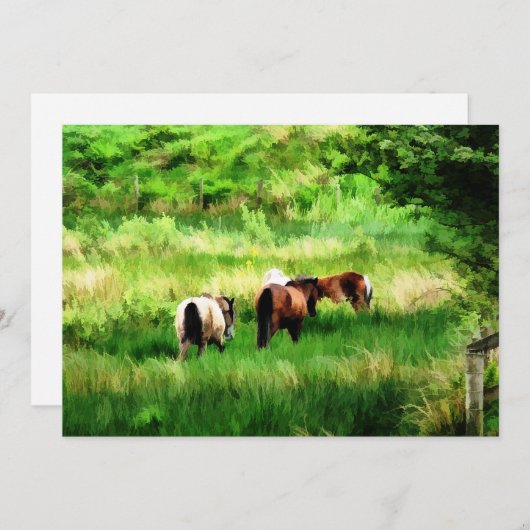 EINLADUNG VON PFERDEN (Vorne/Hinten)