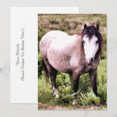 EINLADUNG VON PFERDEN (Vorne/Hinten)