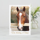 EINLADUNG VON PFERDEN (Stehend Vorderseite)