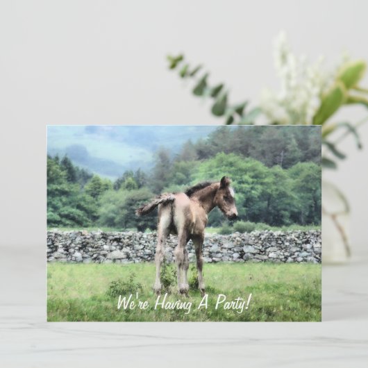 EINLADUNG VON PFERDEN (Stehend Vorderseite)