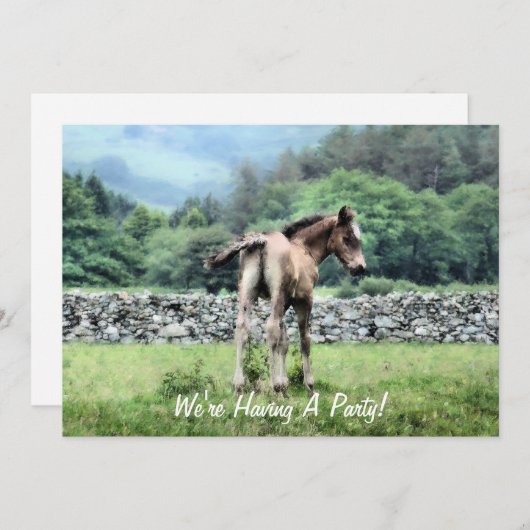 EINLADUNG VON PFERDEN (Vorne/Hinten)