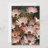 Einladung von Pink African Daisies Floral Wedding (Rückseite)