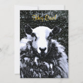 EINLADUNG VON SCHAFEN (Vorderseite)