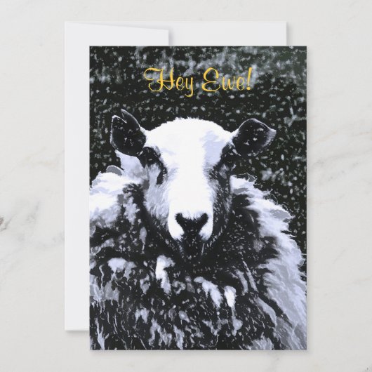 EINLADUNG VON SCHAFEN (Vorderseite)