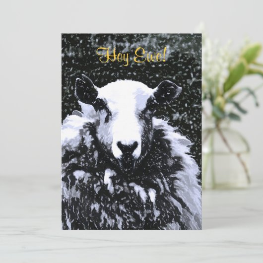 EINLADUNG VON SCHAFEN (Stehend Vorderseite)