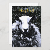 EINLADUNG VON SCHAFEN (Vorne/Hinten)