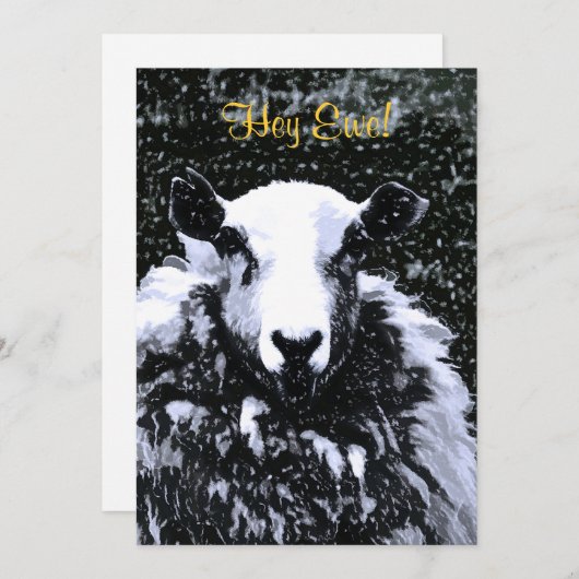 EINLADUNG VON SCHAFEN (Vorne/Hinten)