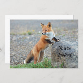 Einladung von stehend Red Fox zum Geburtstag