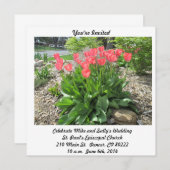 Einladung von Tulips Hochzeit (Vorne/Hinten)