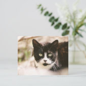 Einladung von Tuxedo (Stehend Vorderseite)