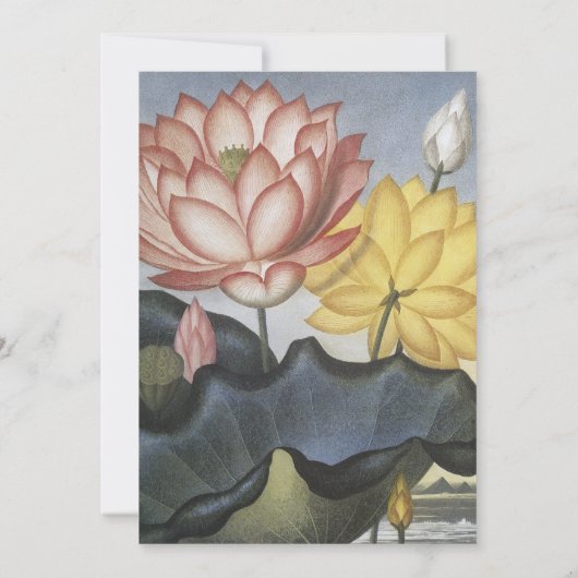 Einladung von Water Lilly Floral Wedding (Rückseite)