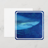 Einladung von Weißhai (Vorne/Hinten)