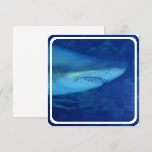 Einladung von Weißhai (Vorne/Hinten)