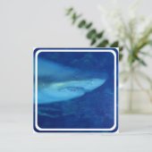 Einladung von Weißhai (Stehend Vorderseite)