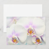 Einladung von White Orchids (Vorne/Hinten)
