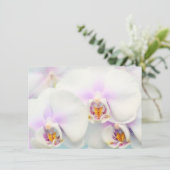 Einladung von White Orchids (Stehend Vorderseite)