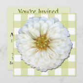 Einladung - Weißes Zinnia (Vorne/Hinten)
