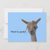 Einladung - Woll zum Party? (Vorderseite)