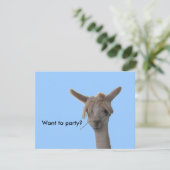 Einladung - Woll zum Party? (Stehend Vorderseite)