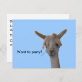 Einladung - Woll zum Party? (Vorne/Hinten)