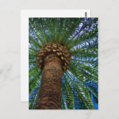 Einladung zu Hochzeiten in Palmen und Strand Postkarte (Vorne/Hinten)