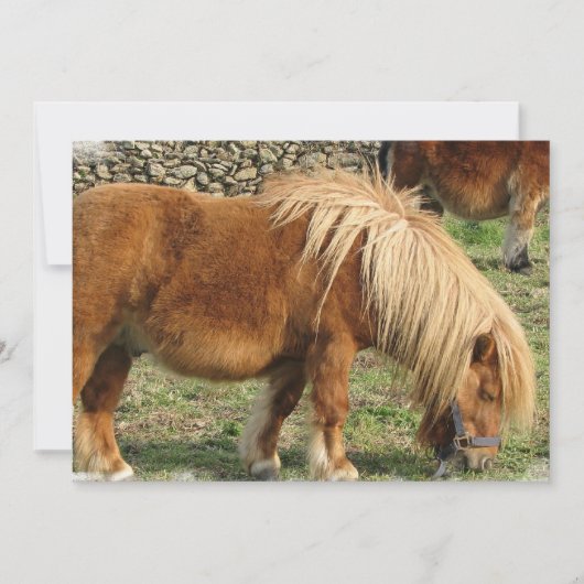 Einladung zu Kastanienpferden (Vorderseite)