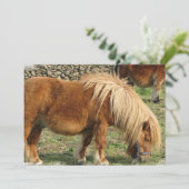 Einladung zu Kastanienpferden (Stehend Vorderseite)