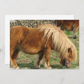 Einladung zu Kastanienpferden (Vorne/Hinten)