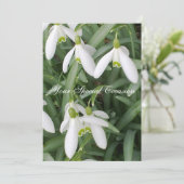 Einladung zu Snowdrops (Stehend Vorderseite)