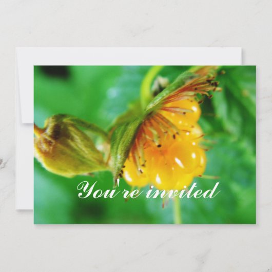 Einladung zu Wildgelbeere (Vorderseite)