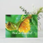 Einladung zu Wildgelbeere (Stehend Vorderseite)