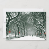 Einladung zum Central Park Snowway (Vorderseite)