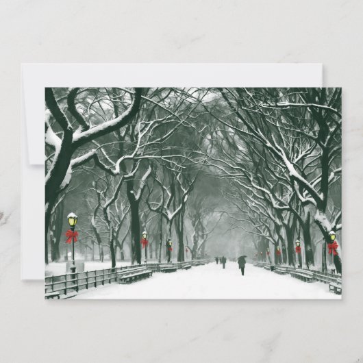Einladung zum Central Park Snowway (Vorderseite)