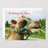 Einladung zum Essen (Vorne/Hinten)