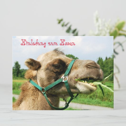 Einladung zum Essen (Stehend Vorderseite)