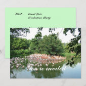 Einladung zum Flamingo-Herd (Vorne/Hinten)