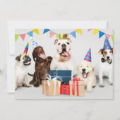 Einladung zum Geburtstag von Kindern, Hunde, Name (Vorderseite)