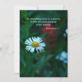 Einladung zum Gedenkdienst, Biokunstangebot (Vorderseite)