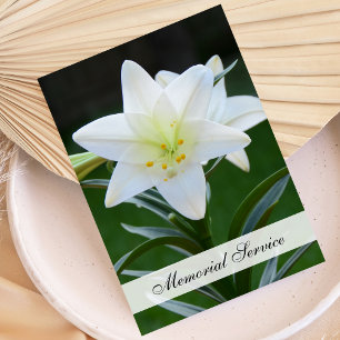 Einladung zum Gedenkdienst — Lily