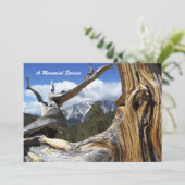 Einladung zum Gedenken an den Bergbaum (Stehend Vorderseite)