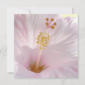 Einladung zum Hochzeitsfeiern mit hellrosa Hibisku (Rückseite)