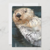 Einladung zum Meeresrauschen (Vorderseite)