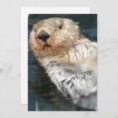 Einladung zum Meeresrauschen (Vorne/Hinten)