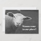 Einladung zum niedlichen Pessach (Vorderseite)