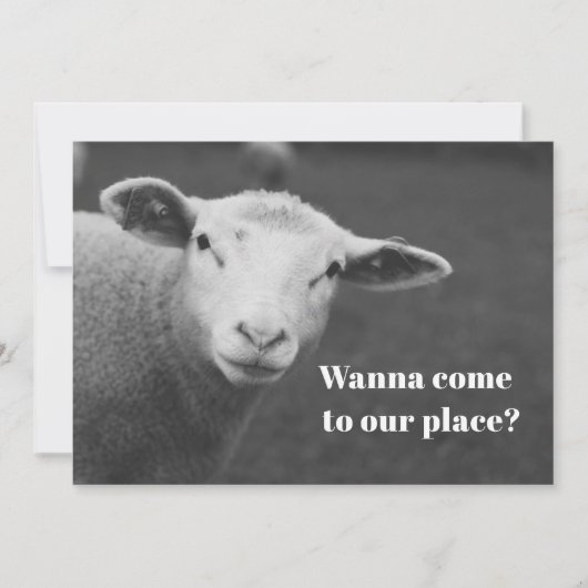 Einladung zum niedlichen Pessach (Vorderseite)