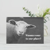 Einladung zum niedlichen Pessach (Stehend Vorderseite)