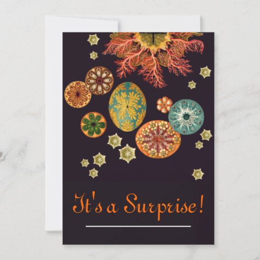 Einladung zum Remix von Sea Squirt (Vorderseite)